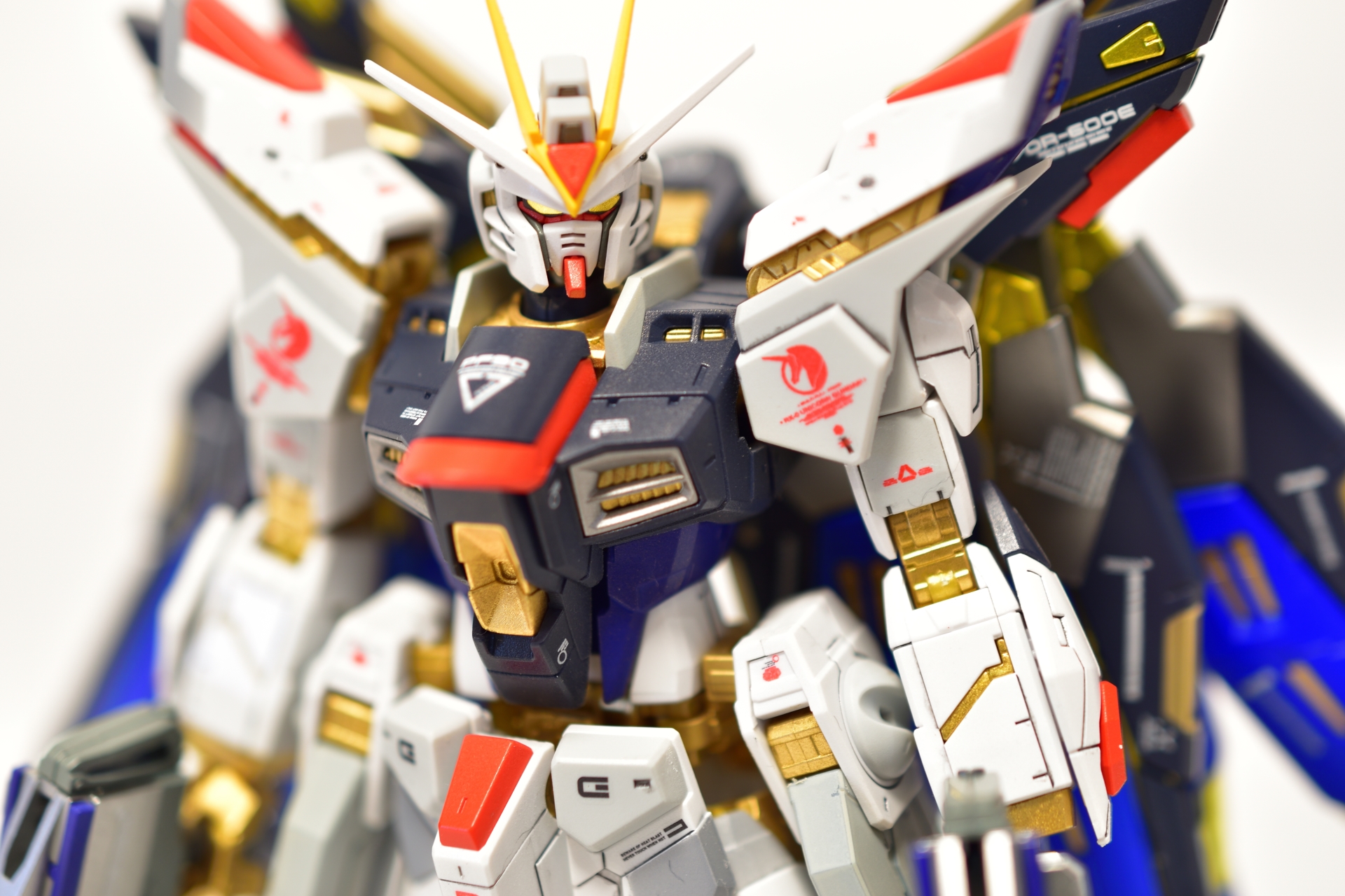 RG リアルグレード ストライクフリーダムガンダム 全塗装完成品 